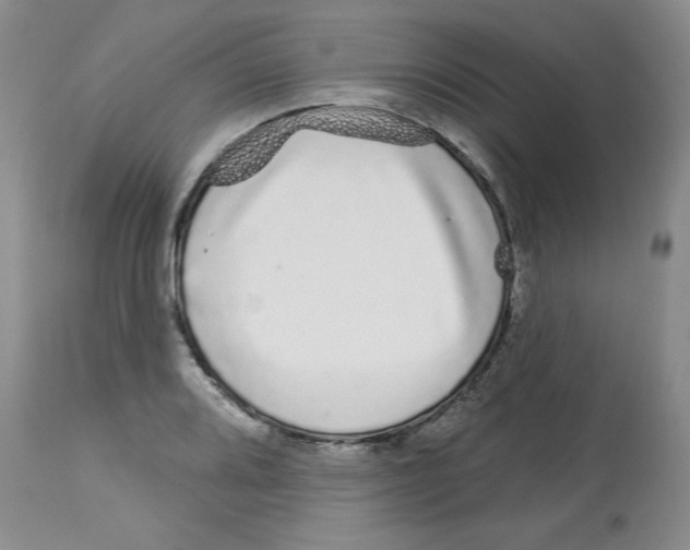 X0000112721080200910011126