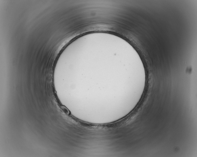 X0000112721081200910011126