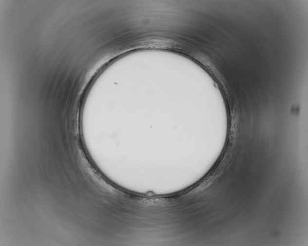 X0000112721083200910011126