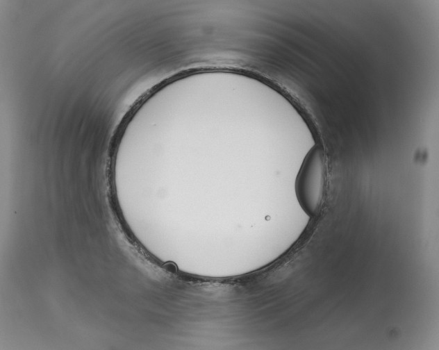 X0000112721085200910011126