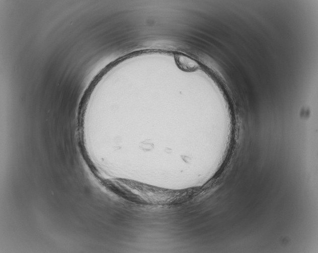 X0000112721087200910011126