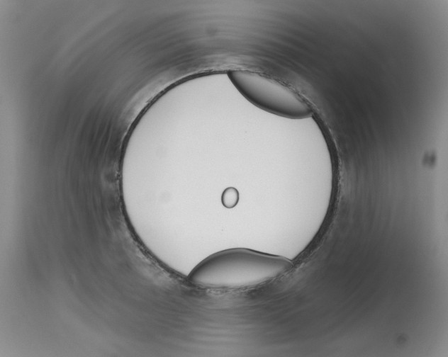 X0000112721089200910011126