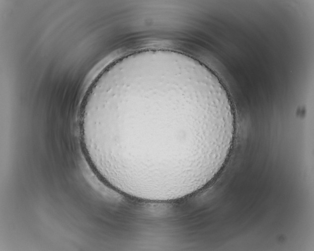 X0000112721090200910011126