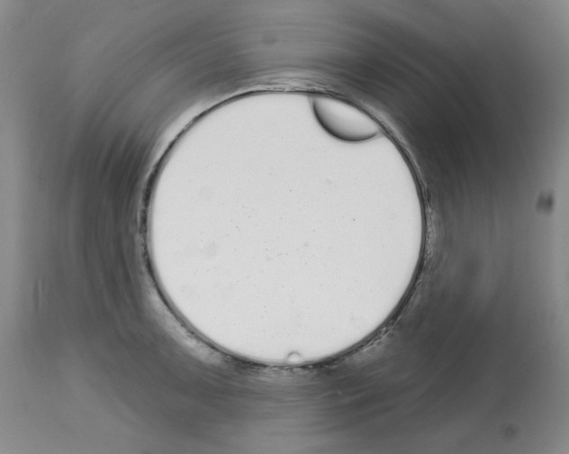 X0000112721091200910011126