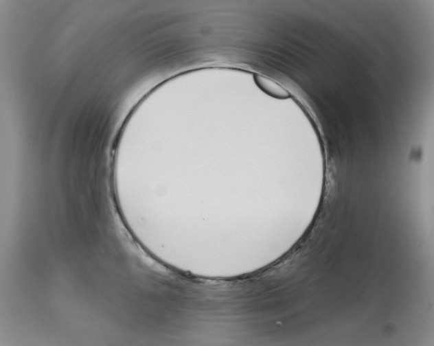 X0000112721096200910011126