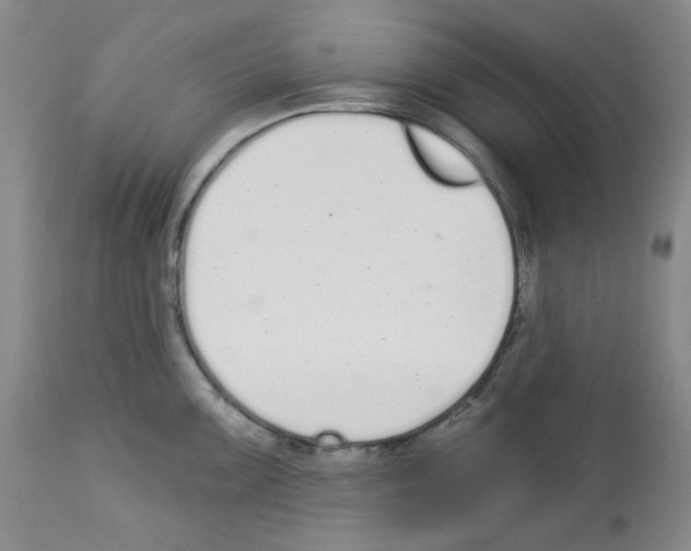 X0000112721099200910011126