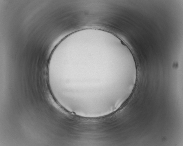 X0000112721100200910011126