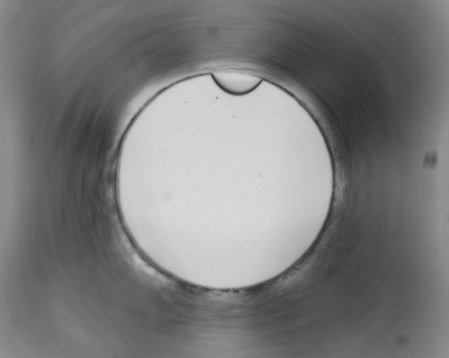 X0000112721102200910011126