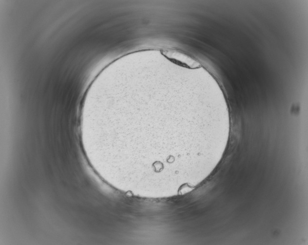 X0000112721103200910011126