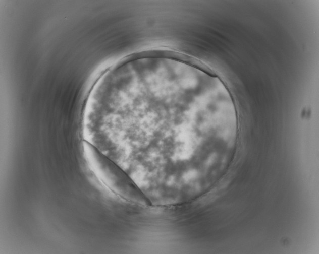 X0000112721104200910011126