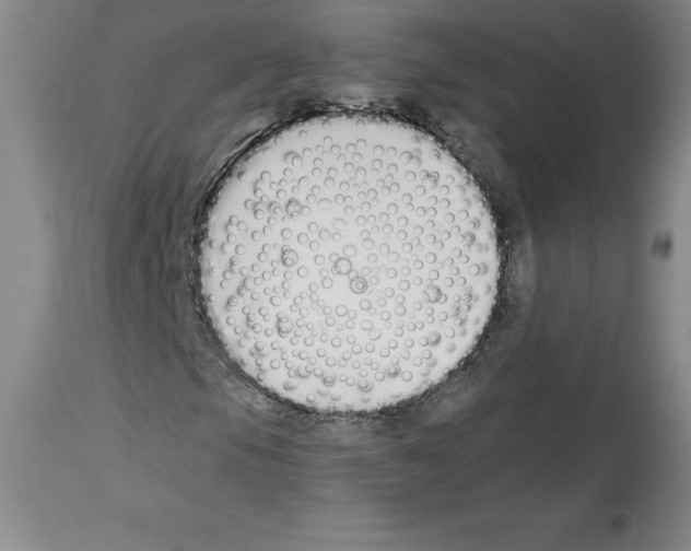 X0000112721105200910011125