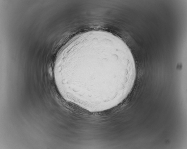 X0000112721106200910011125