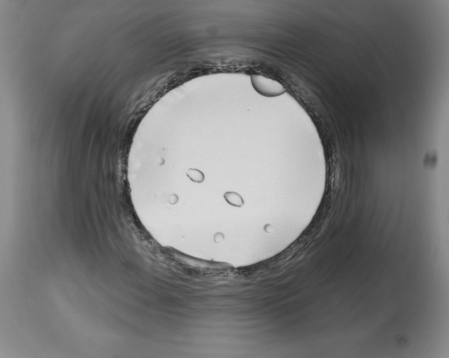 X0000112721108200910011125