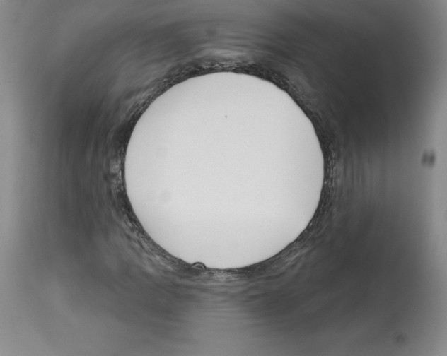 X0000112721109200910011125