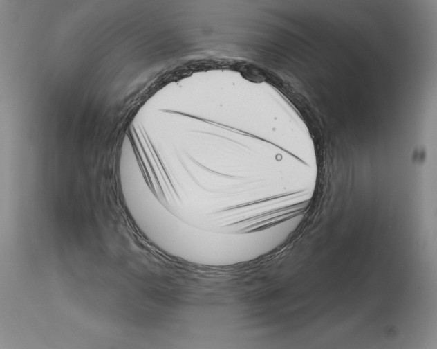 X0000112721110200910011125