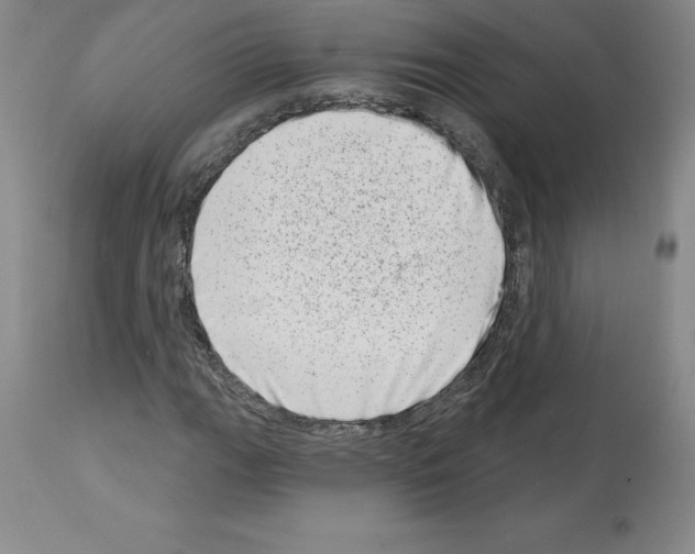 X0000112721111200910011125