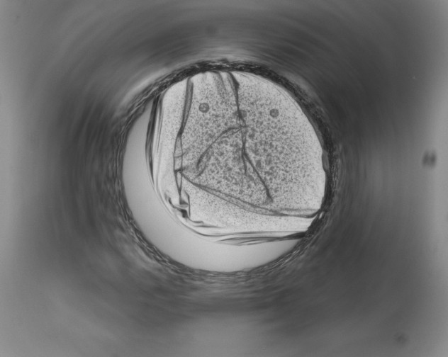 X0000112721112200910011125