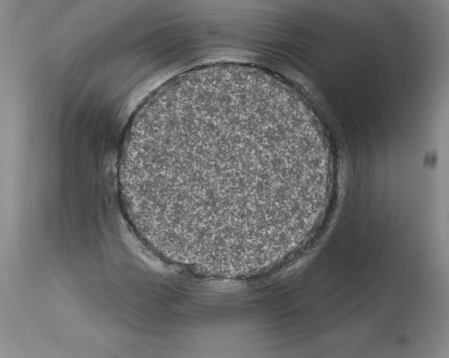 X0000112721113200910011125