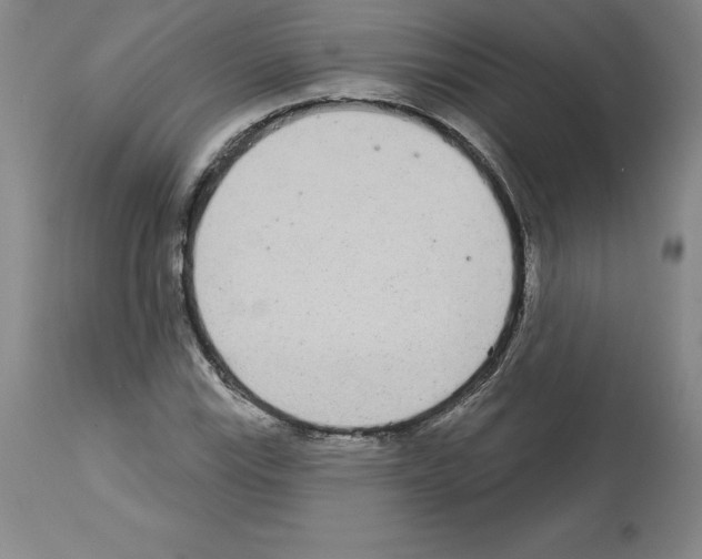 X0000112721115200910011125