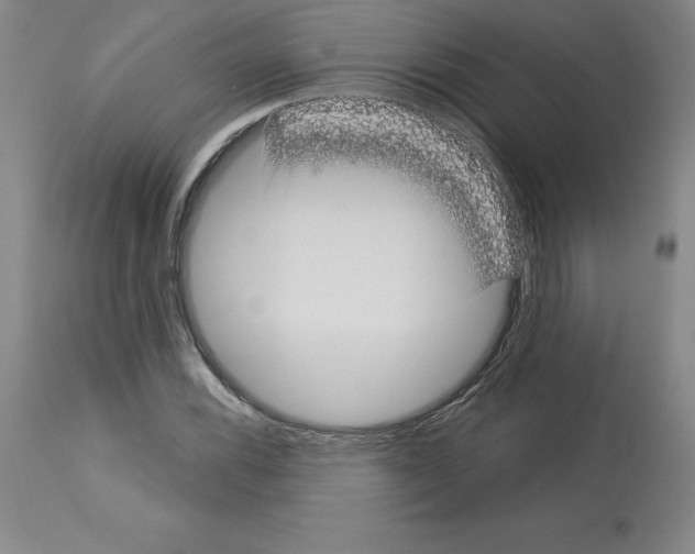 X0000112721116200910011125