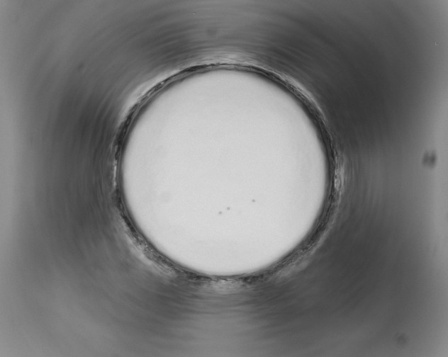 X0000112721117200910011125