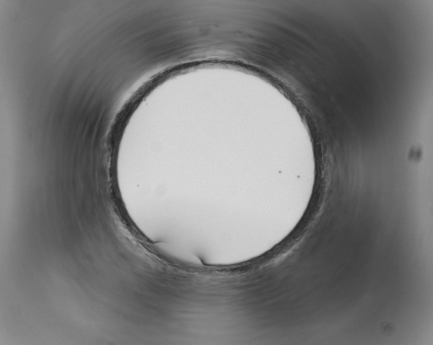 X0000112721118200910011125