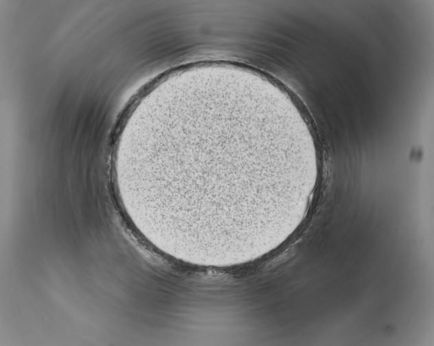 X0000112721119200910011125