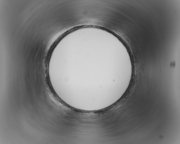 X0000112721120200910011125