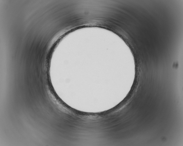 X0000112721122200910011125