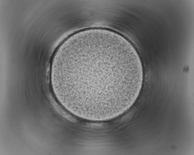 X0000112721126200910011125