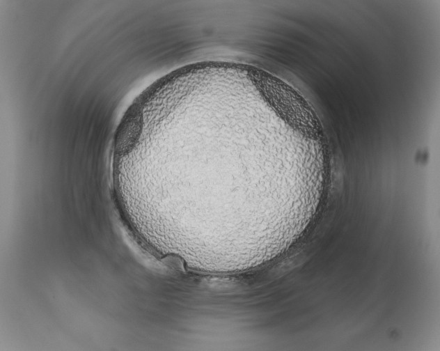 X0000112721128200910011125