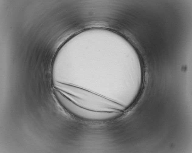 X0000112721129200910011125