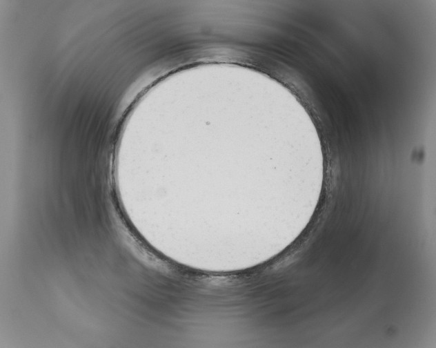 X0000112721130200910011125