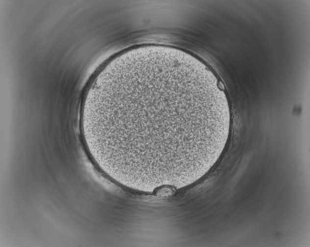 X0000112721131200910011125