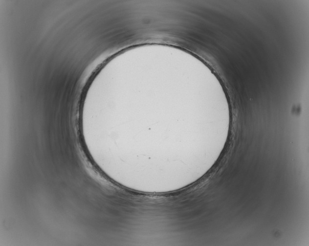 X0000112721136200910011125