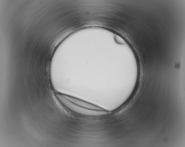 X0000112721137200910011125