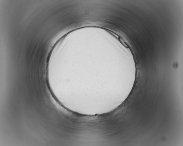 X0000112721143200910011126