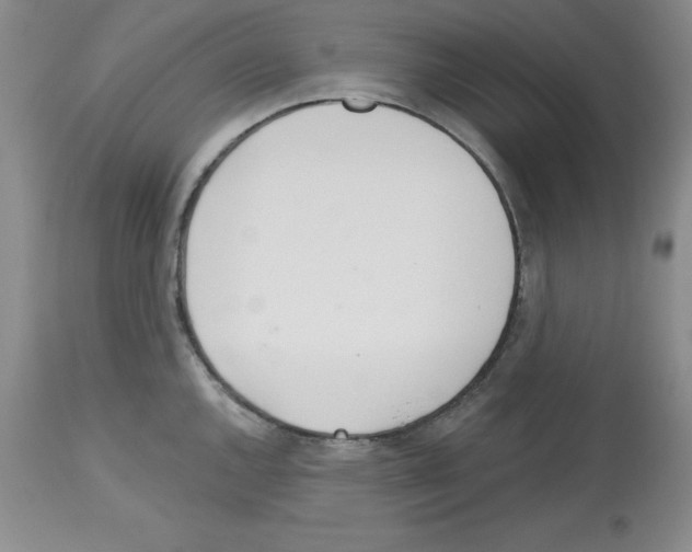 X0000112721144200910011126