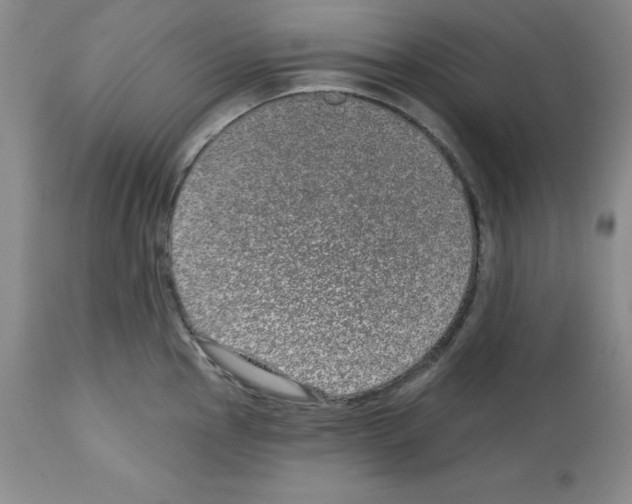 X0000112721145200910011126