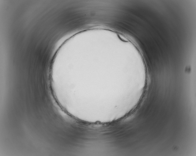 X0000112721149200910011126