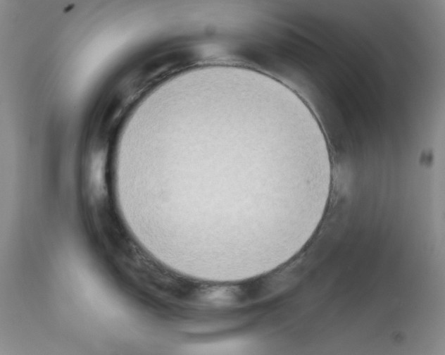 X0000112721150200910011126