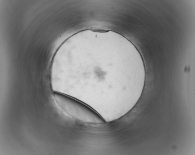 X0000112721152200910011126