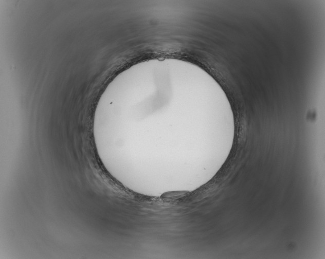 X0000112721153200910011125