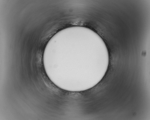 X0000112721154200910011125