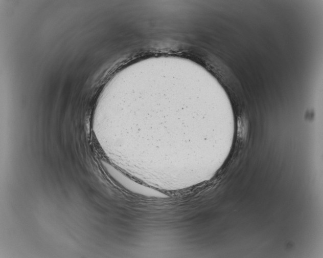 X0000112721155200910011125