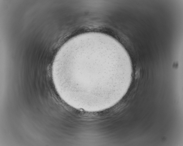 X0000112721156200910011125