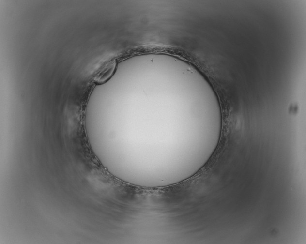 X0000112721157200910011125