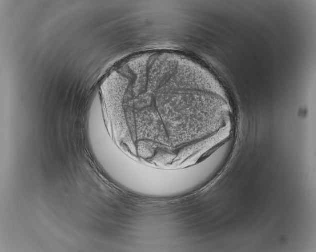 X0000112721161200910011125