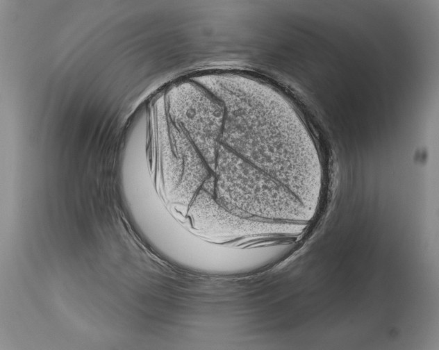 X0000112721162200910011125