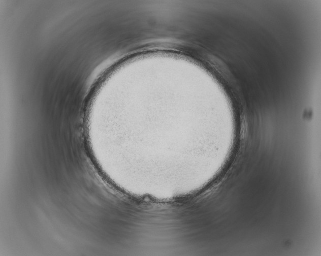 X0000112721164200910011125